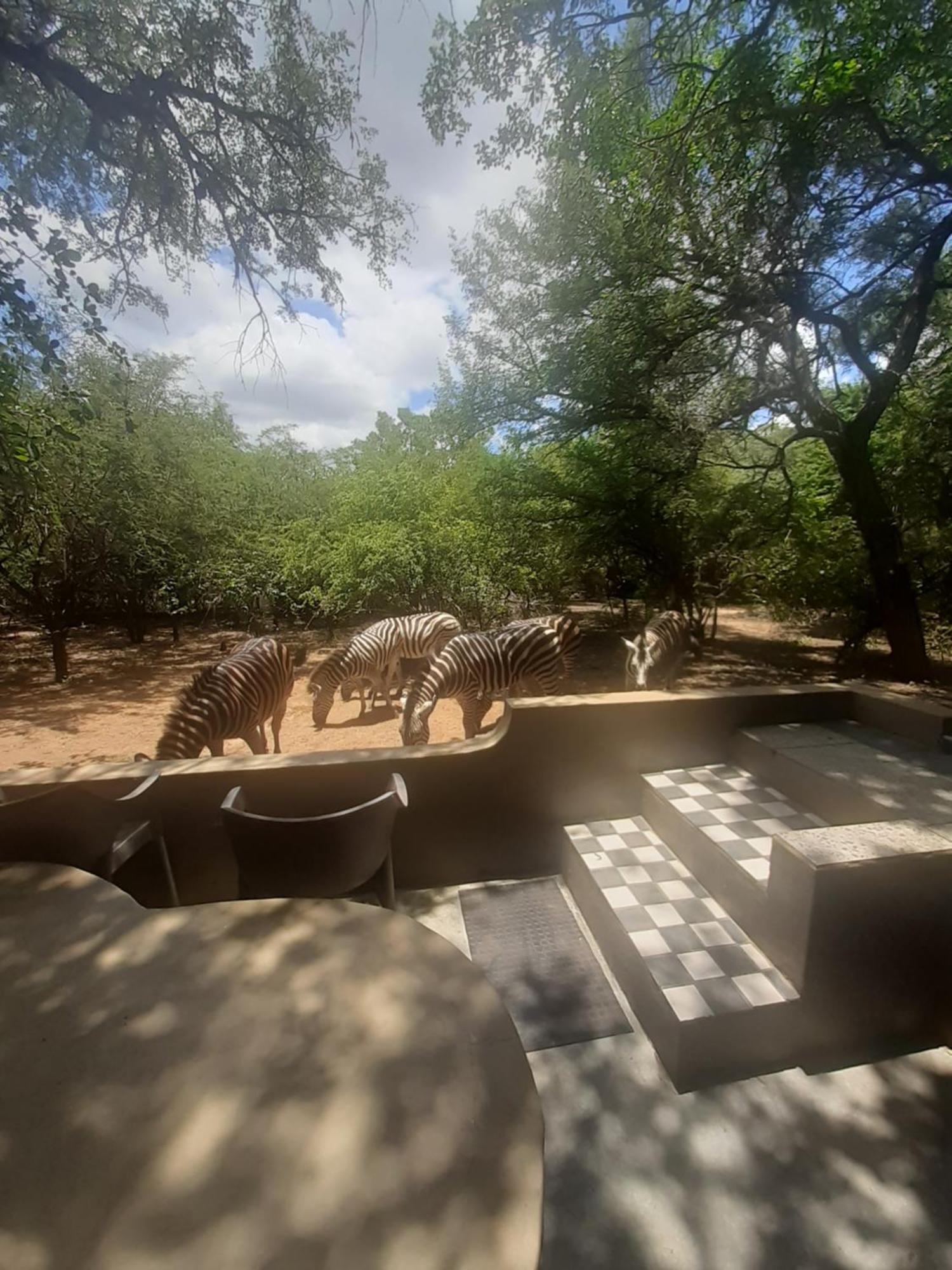 African Bush Escape Marloth Park Exterior photo